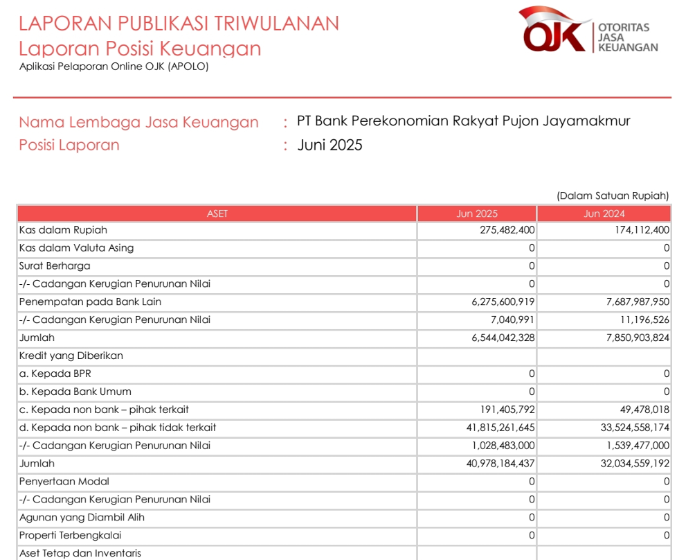 LAPORAN PUBLIKASI TRIWULAN 2 2025